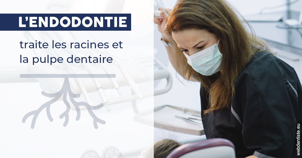 https://dr-cardinaux-laurent.chirurgiens-dentistes.fr/L'endodontie 1