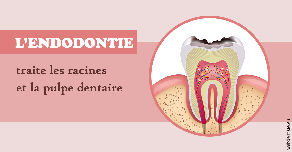 https://dr-cardinaux-laurent.chirurgiens-dentistes.fr/L'endodontie 2